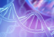 Científicos logran editar ADN dentro del cuerpo humano contra enfermedad