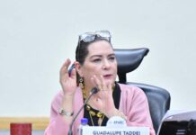 Guadalupe Taddei traicionó la confianza de mexicanos: Sheinbaum