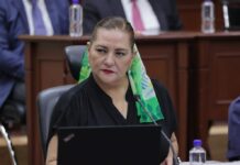 Megasacudida en el INE: renuncia Guadalupe Taddei por escándalo de corrupción
