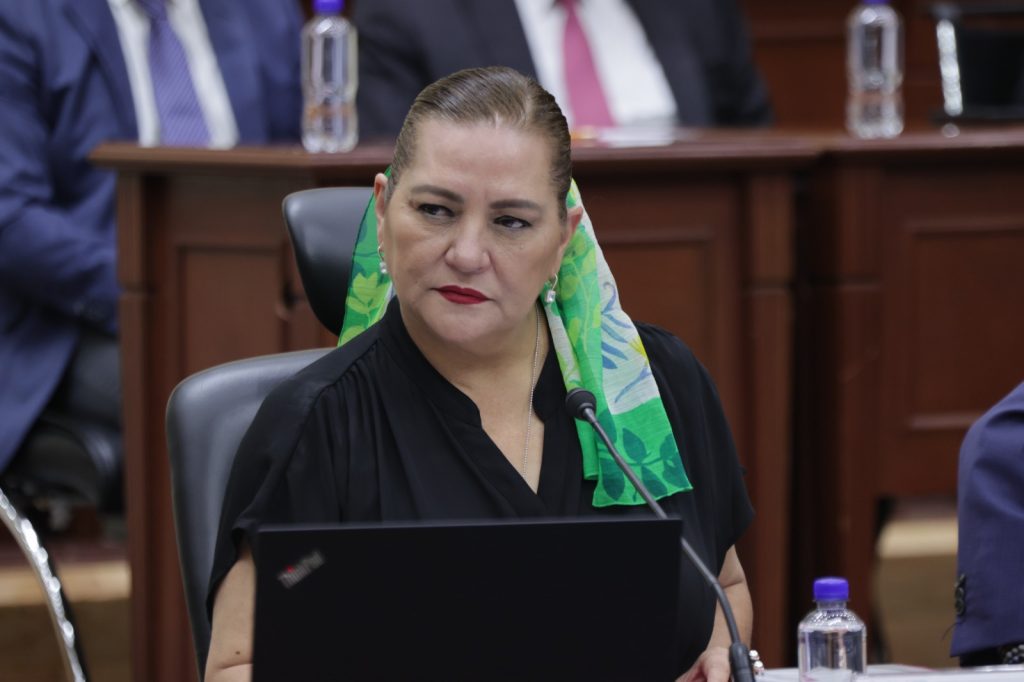 Guadalupe Tadei, ex titular del INE