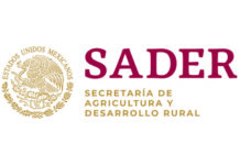 Proponen crear mesa de coordinación para impulsar agroindustria y empleo