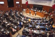 Declara constitucional reforma de nacionalidad el senado de la Repùblica