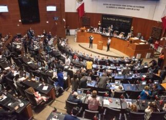 Declara constitucional reforma de nacionalidad el senado de la Repùblica