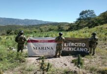 Seguridad y bienestar, ejes de la construcción de paz en Nayarit