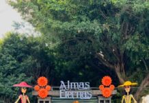 Festival de las Almas eternas espera derrama económica de 40 mdp