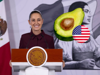 Sheinbaum anuncia acuerdos para impulsar producción y exportación de aguacate