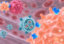 Científicos del MIT desarrollan nanopartículas que podrían combatir el cáncer desde el interior del organismo