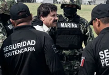 “Operación Cisne Negro”: documental sobre la fuga y recaptura de “El Chapo”