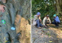 INAH confirma hallazgo de 50 huellas de dinosaurios en Apatzingán, Michoacán