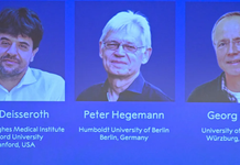 Nobel de Medicina 2026 premia a científicos que descubrieron un “interruptor molecular” para las células nerviosas