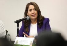 Ivideliza Reyes busca encabezar alianza opositora para disputar gubernatura de Nayarit en 2027