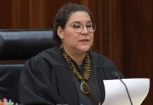 Lenia Batres reporta 17 amparos en su contra por restricciones en X
