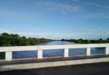 Concluyen desazolve del río San Pedro para favorecer flujo hacia la laguna